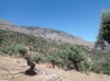 20210715_153832.jpg 20210715_153832.jpg