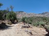 20210715_153834.jpg 20210715_153834.jpg