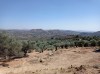 20210715_154950.jpg 20210715_154950.jpg
