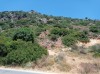 20210716_142817.jpg 20210716_142817.jpg