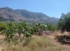 20210716_143642.jpg 20210716_143642.jpg