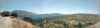 20210716_144543-pano.jpg 20210716_144543-pano.jpg