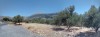 20210716_145526-pano.jpg 20210716_145526-pano.jpg