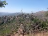 20210716_150027.jpg 20210716_150027.jpg