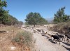20210716_152748.jpg 20210716_152748.jpg