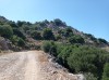 20210716_155751.jpg 20210716_155751.jpg