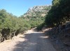 20210716_170431.jpg 20210716_170431.jpg