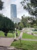 20210728_204437.jpg 20210728_204437.jpg