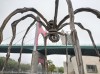20210729_094237.jpg 20210729_094237.jpg