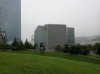 20210729_095012.jpg 20210729_095012.jpg