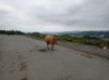 20210729_164534.jpg 20210729_164534.jpg