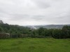 20210729_165255.jpg 20210729_165255.jpg