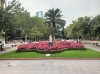 20210729_200627.jpg 20210729_200627.jpg