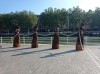 20210730_095216.jpg 20210730_095216.jpg
