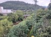 20210730_113101.jpg 20210730_113101.jpg