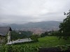 20210731_102158.jpg 20210731_102158.jpg