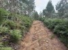 20210731_181159.jpg 20210731_181159.jpg