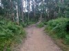 20210731_183210.jpg 20210731_183210.jpg