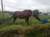 20210731_195252.jpg 20210731_195252.jpg