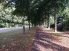 20210817_093616.jpg 20210817_093616.jpg