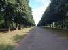 20210817_093632.jpg 20210817_093632.jpg