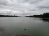 20210818_101045.jpg 20210818_101045.jpg