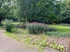 20210818_103850.jpg 20210818_103850.jpg