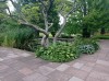 20210819_113434.jpg 20210819_113434.jpg