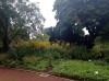 20210819_113718.jpg 20210819_113718.jpg