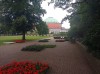 20210819_114226.jpg 20210819_114226.jpg
