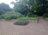 20210819_114247.jpg 20210819_114247.jpg