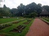 20210819_114501.jpg 20210819_114501.jpg