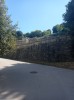 20210901_145150.jpg 20210901_145150.jpg