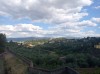 20210901_161447.jpg 20210901_161447.jpg
