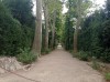 20210904_115221.jpg 20210904_115221.jpg