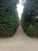 20210904_115254.jpg 20210904_115254.jpg