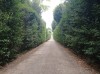 20210904_120036.jpg 20210904_120036.jpg