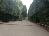 20210904_120542.jpg 20210904_120542.jpg