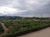 20210904_121632.jpg 20210904_121632.jpg