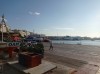 20210930_174322.jpg 20210930_174322.jpg