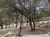 20211001_140830.jpg 20211001_140830.jpg