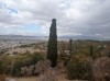 20211001_152543.jpg 20211001_152543.jpg
