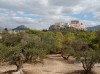 20211002_125156.jpg 20211002_125156.jpg
