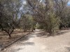 20211002_125843.jpg 20211002_125843.jpg