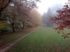 20211030_101103.jpg 20211030_101103.jpg