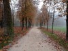 20211030_101318.jpg 20211030_101318.jpg