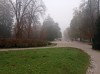 20211030_112431.jpg 20211030_112431.jpg