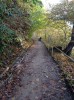 20211030_161354.jpg 20211030_161354.jpg