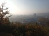 20211030_161724.jpg 20211030_161724.jpg