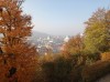 20211030_161755.jpg 20211030_161755.jpg
